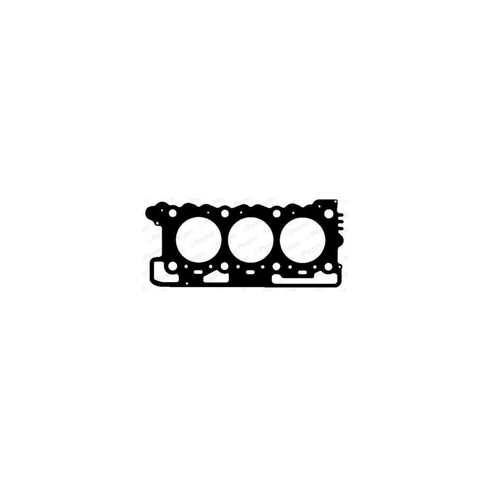 PAYEN Dichtung, Zylinderkopf AH5731