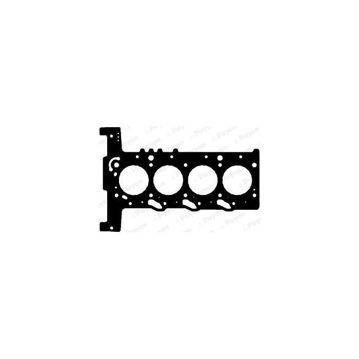 PAYEN Dichtung, Zylinderkopf AH6410