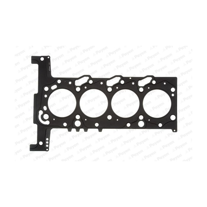 PAYEN Dichtung, Zylinderkopf AH6410