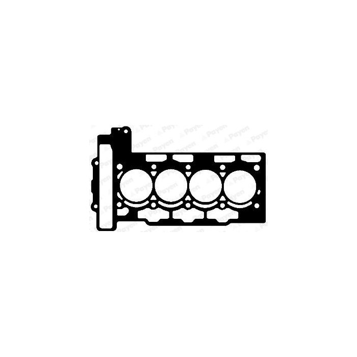 PAYEN Dichtung, Zylinderkopf AH6440