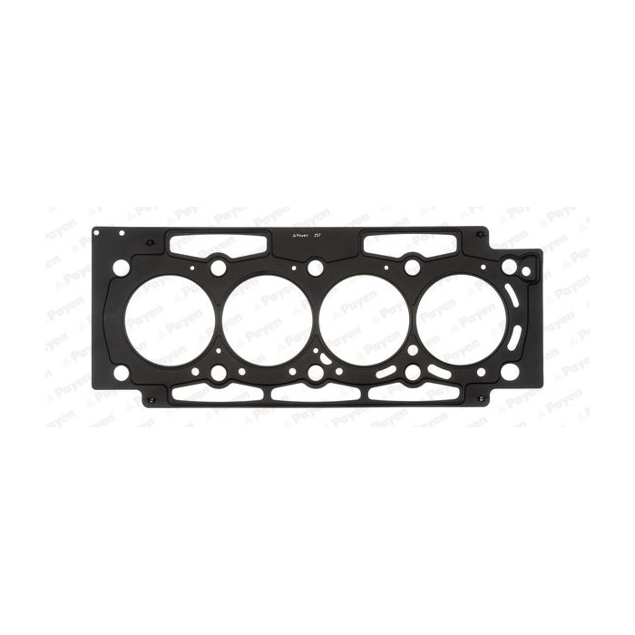PAYEN Dichtung, Zylinderkopf AH6630
