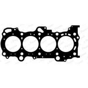 PAYEN Dichtung, Zylinderkopf AH6920