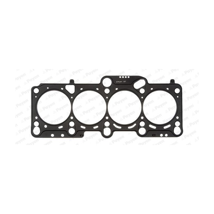 PAYEN Dichtung, Zylinderkopf AH6930