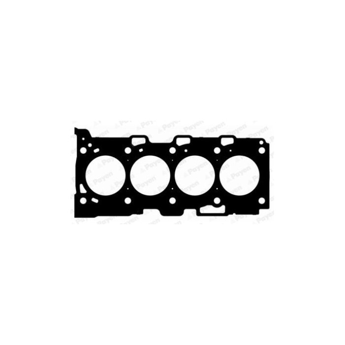 PAYEN Dichtung, Zylinderkopf AH6970