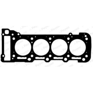 PAYEN Dichtung, Zylinderkopf AH7030