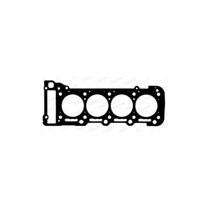 PAYEN Dichtung, Zylinderkopf AH7030