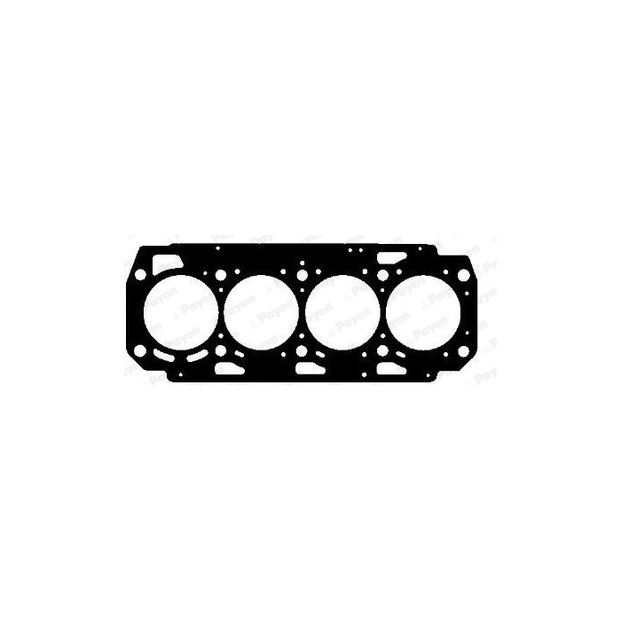 PAYEN Dichtung, Zylinderkopf AH7190