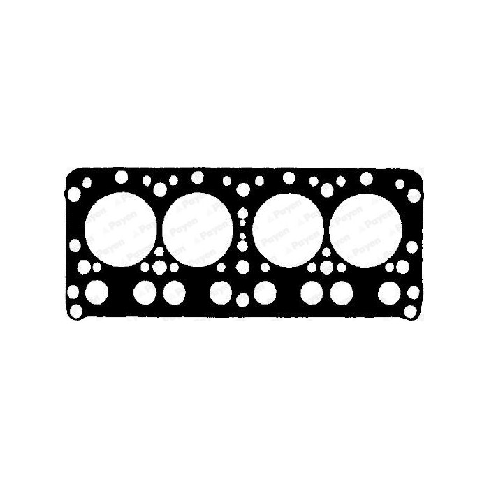 PAYEN Dichtung, Zylinderkopf AL150