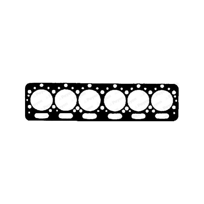 PAYEN Dichtung, Zylinderkopf AY020