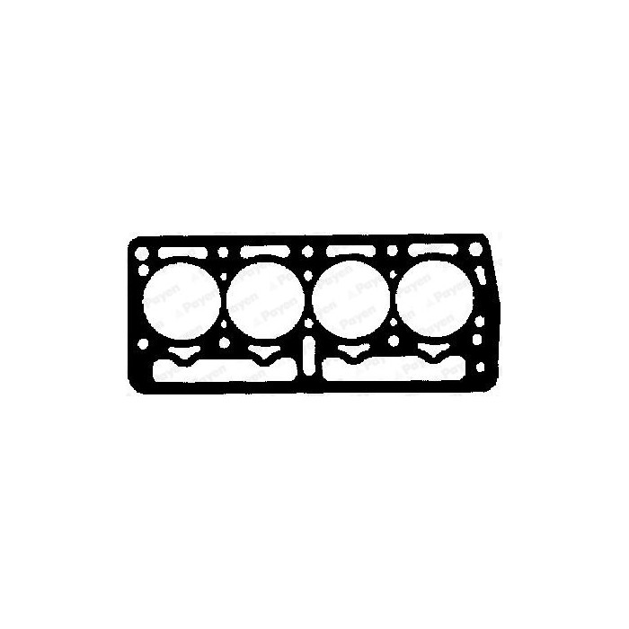 PAYEN Dichtung, Zylinderkopf AY430