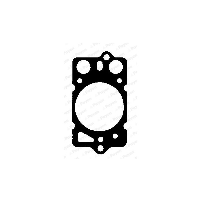 PAYEN Dichtung, Zylinderkopf BK580