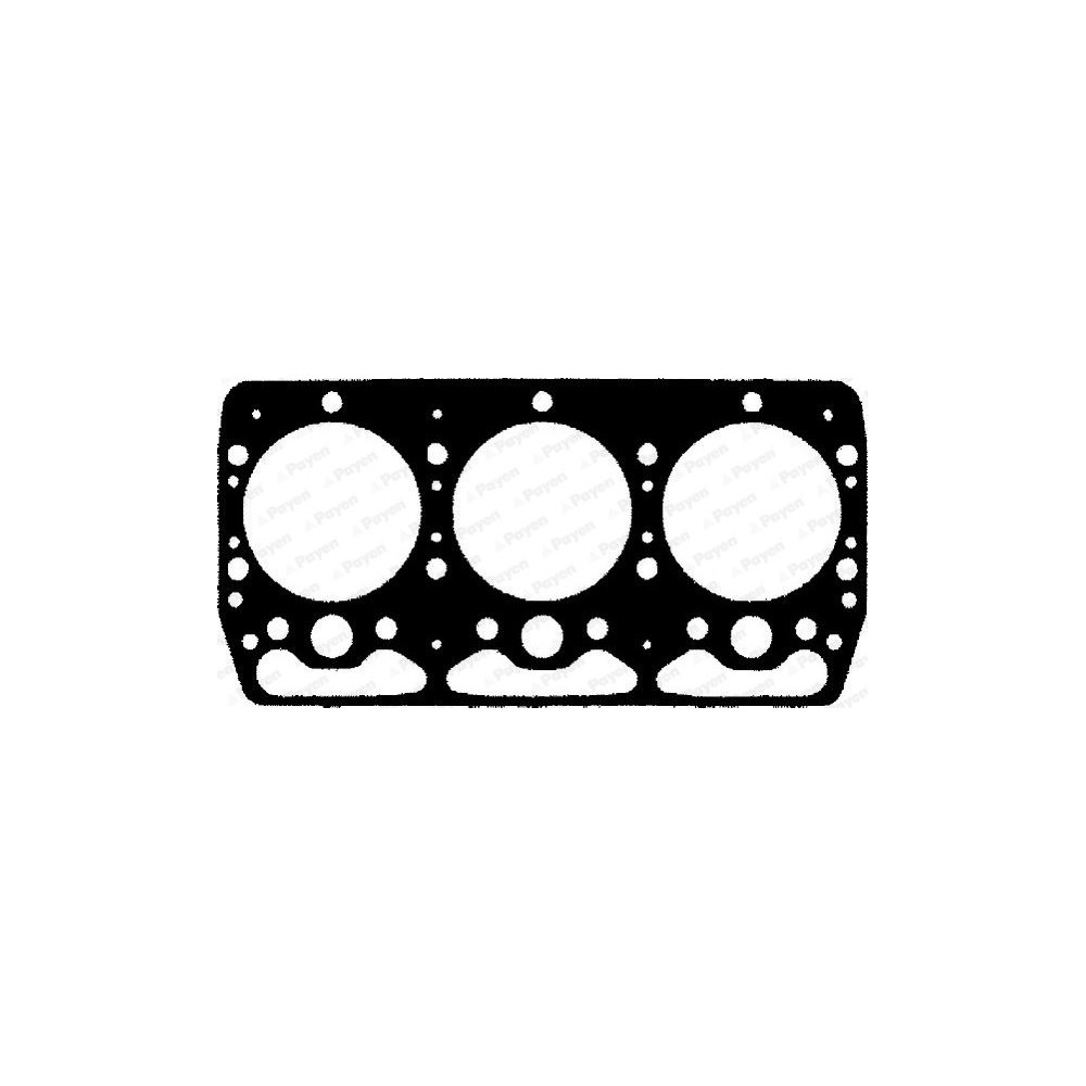 PAYEN Dichtung, Zylinderkopf BL992