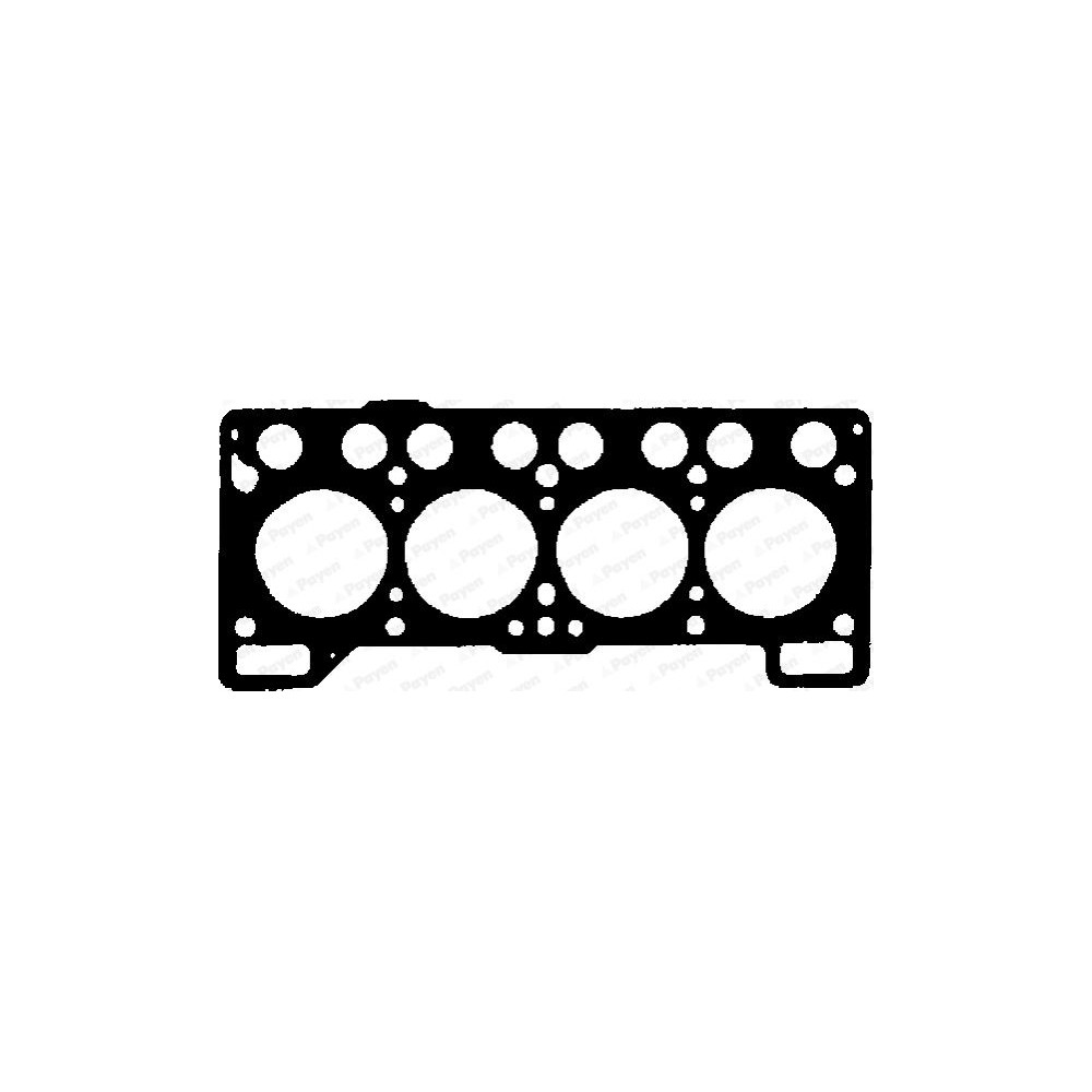 PAYEN Dichtung, Zylinderkopf BM790