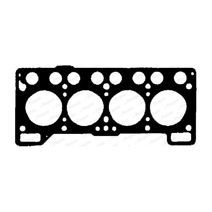 PAYEN Dichtung, Zylinderkopf BM790