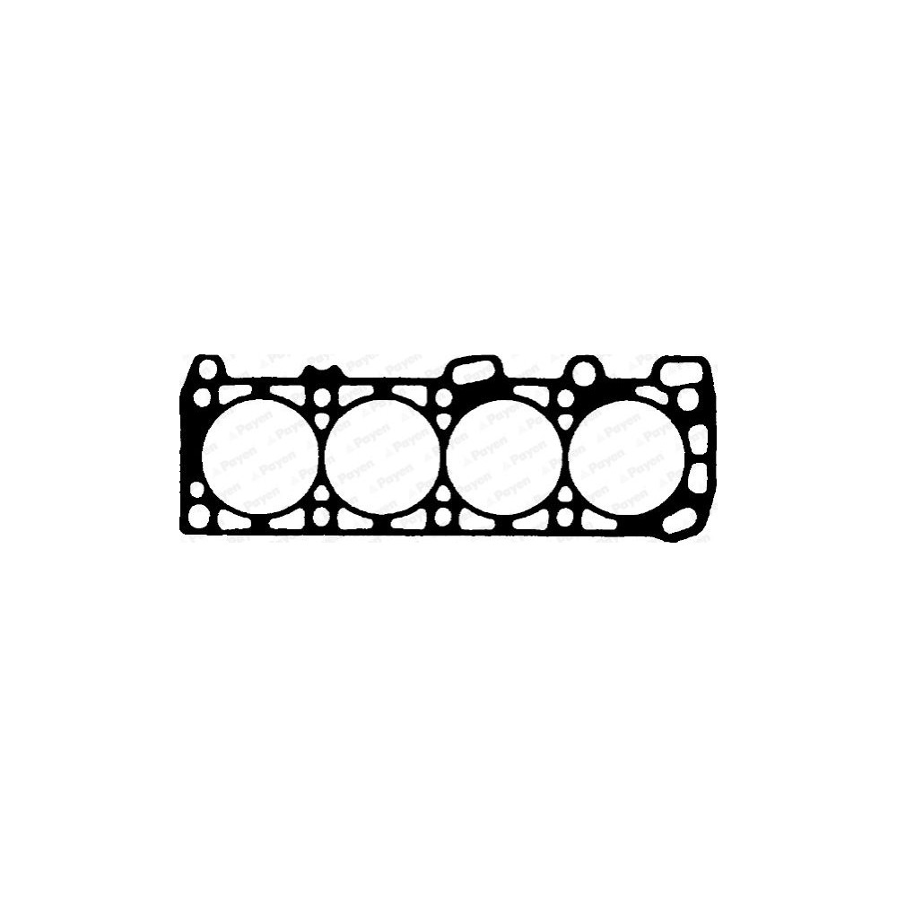 PAYEN Dichtung, Zylinderkopf BM830