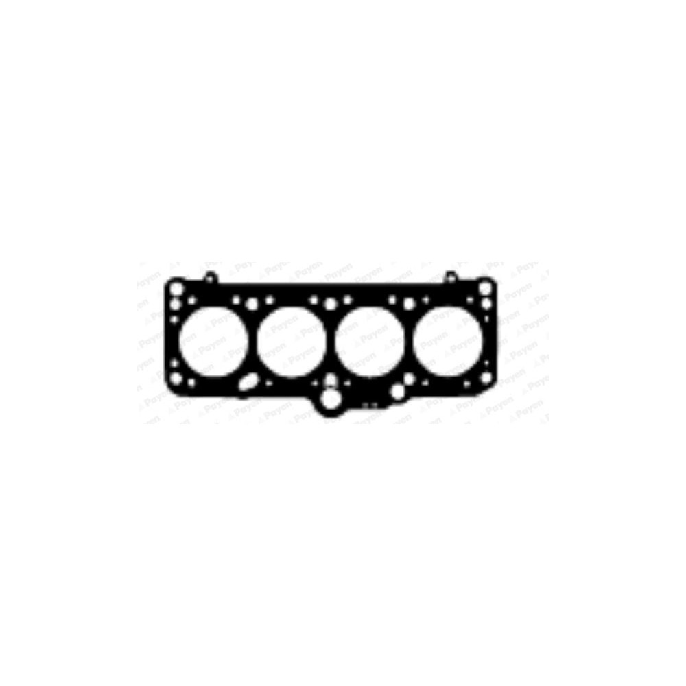 PAYEN Dichtung, Zylinderkopf BN950