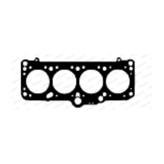 PAYEN Dichtung, Zylinderkopf BN950