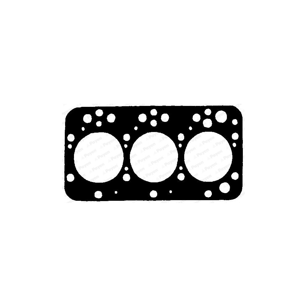 PAYEN Dichtung, Zylinderkopf BP460