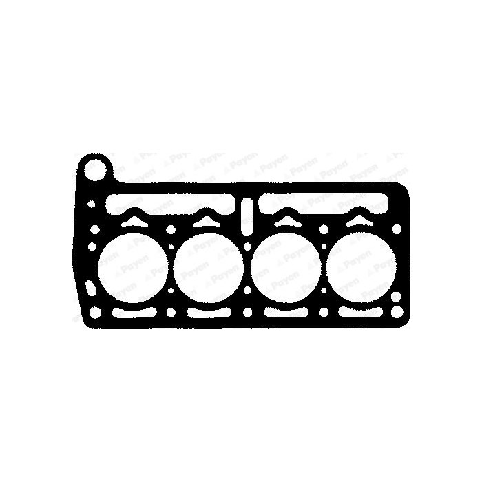 PAYEN Dichtung, Zylinderkopf BP520