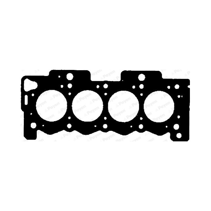 PAYEN Dichtung, Zylinderkopf BR490