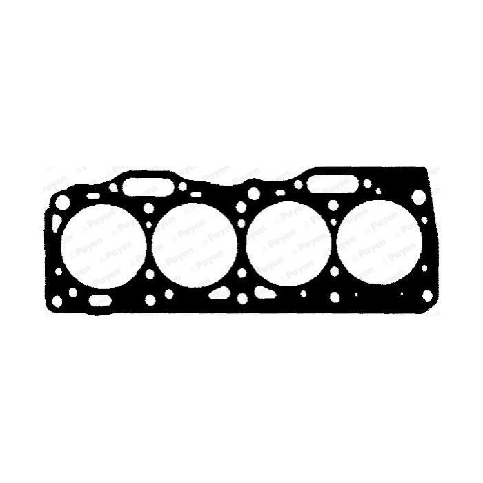 PAYEN Dichtung, Zylinderkopf BR620