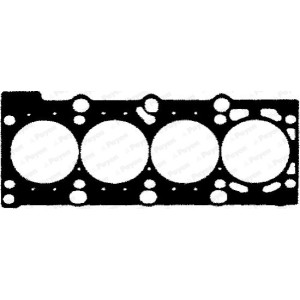 PAYEN Dichtung, Zylinderkopf BR831