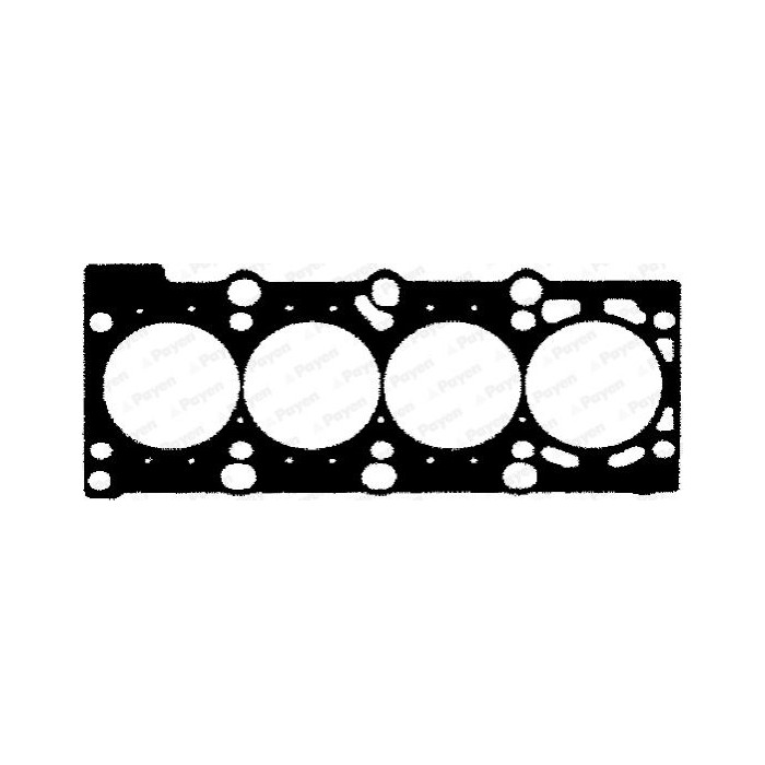 PAYEN Dichtung, Zylinderkopf BR831