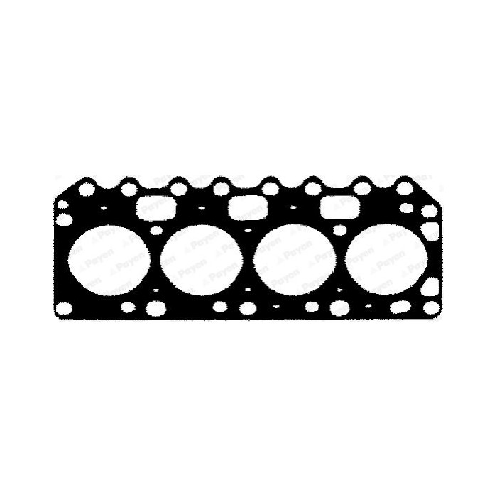PAYEN Dichtung, Zylinderkopf BT110