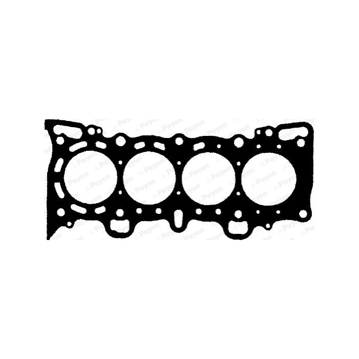 PAYEN Dichtung, Zylinderkopf BV020