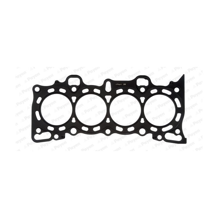 PAYEN Dichtung, Zylinderkopf BV020