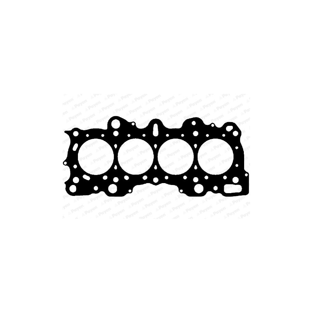 PAYEN Dichtung, Zylinderkopf BV040