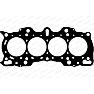 PAYEN Dichtung, Zylinderkopf BV050