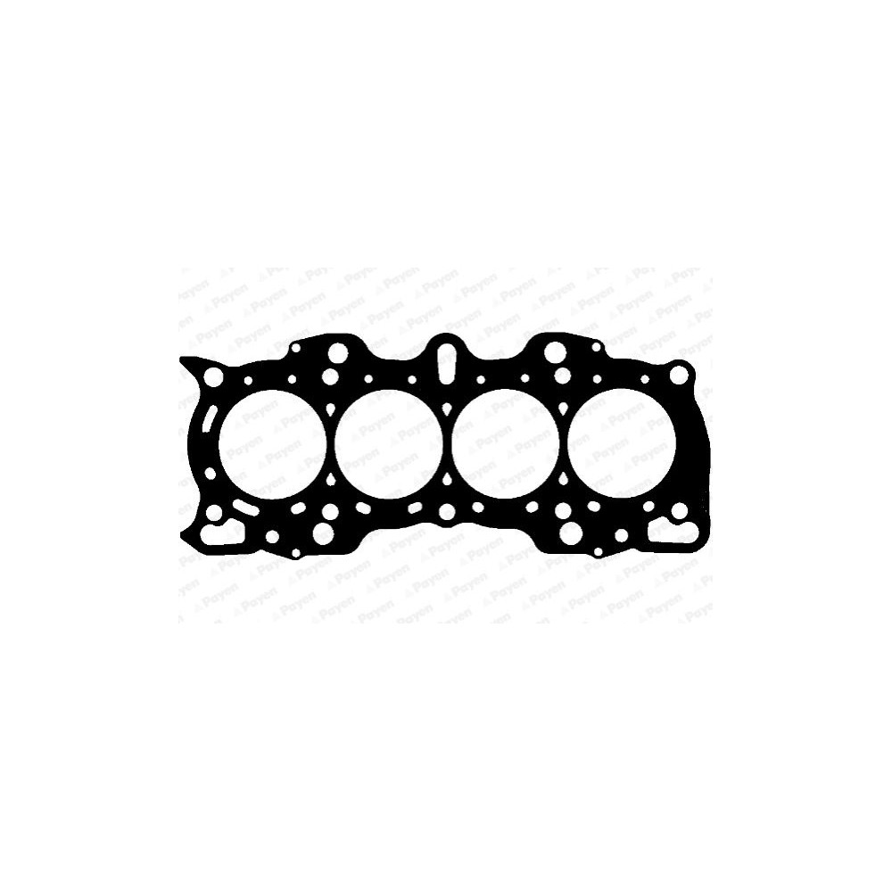 PAYEN Dichtung, Zylinderkopf BV050