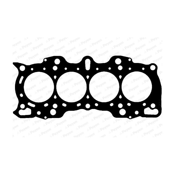 PAYEN Dichtung, Zylinderkopf BV050