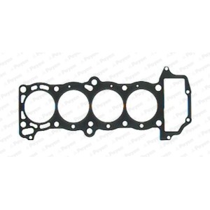 PAYEN Dichtung, Zylinderkopf BV440