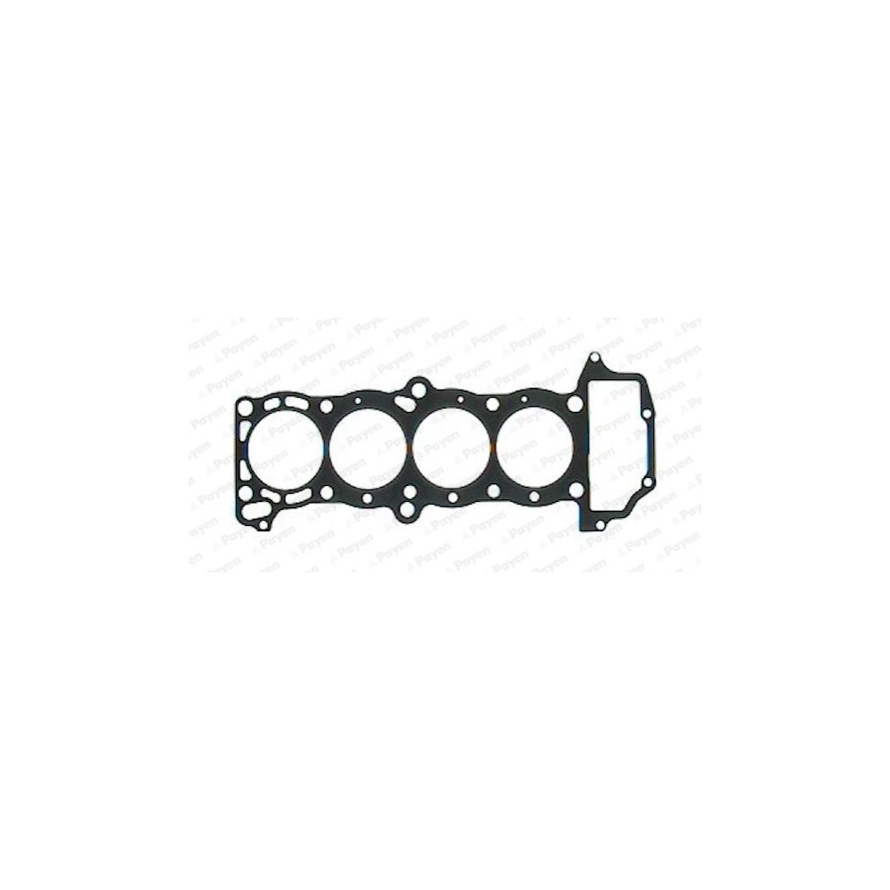 PAYEN Dichtung, Zylinderkopf BV440