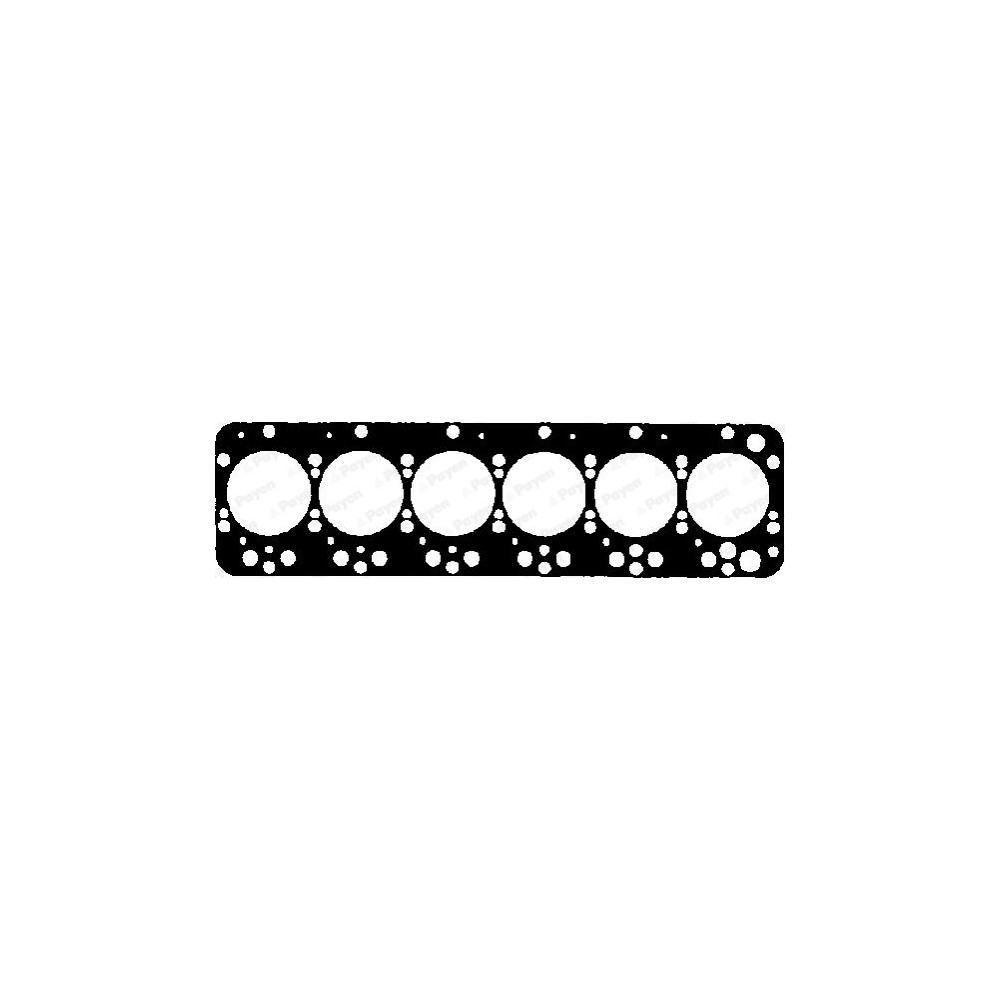 PAYEN Dichtung, Zylinderkopf BV710