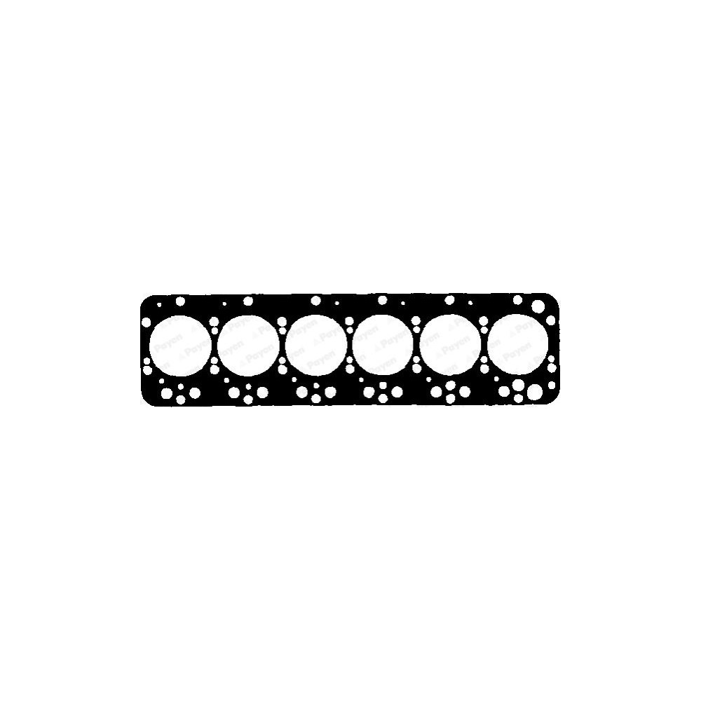 PAYEN Dichtung, Zylinderkopf BW160