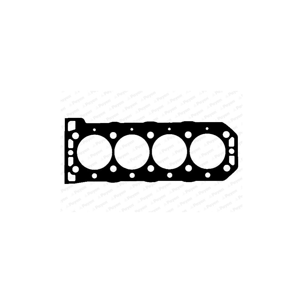 PAYEN Dichtung, Zylinderkopf BW5750