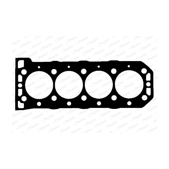 PAYEN Dichtung, Zylinderkopf BW5750