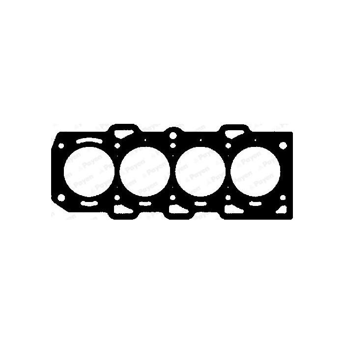 PAYEN Dichtung, Zylinderkopf BW720