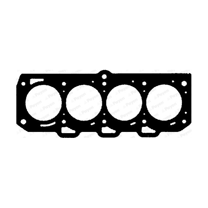 PAYEN Dichtung, Zylinderkopf BX040