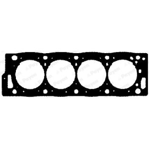 PAYEN Dichtung, Zylinderkopf BY320