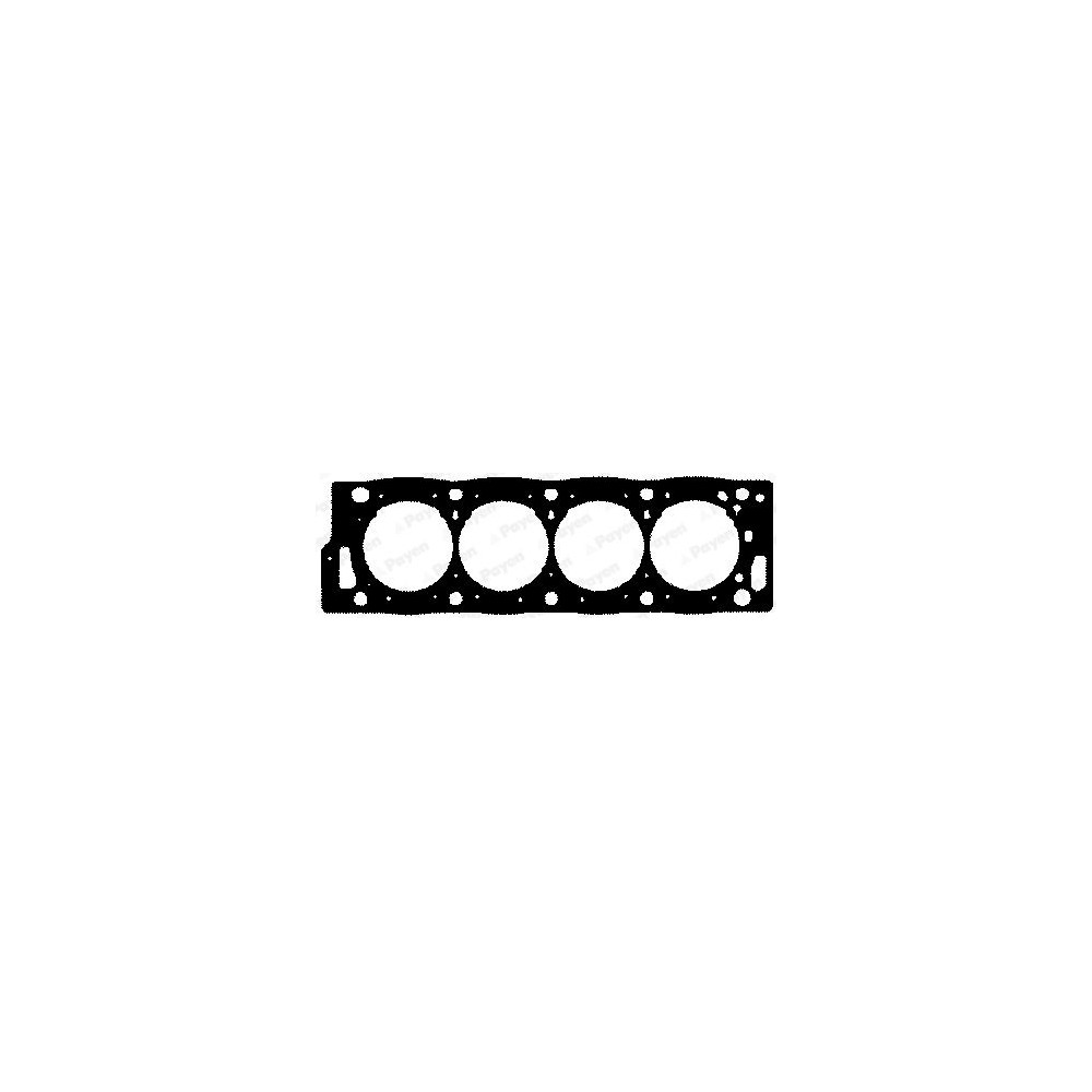 PAYEN Dichtung, Zylinderkopf BY320