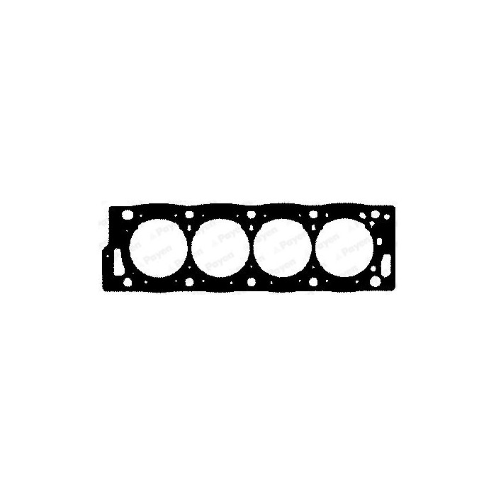 PAYEN Dichtung, Zylinderkopf BY320