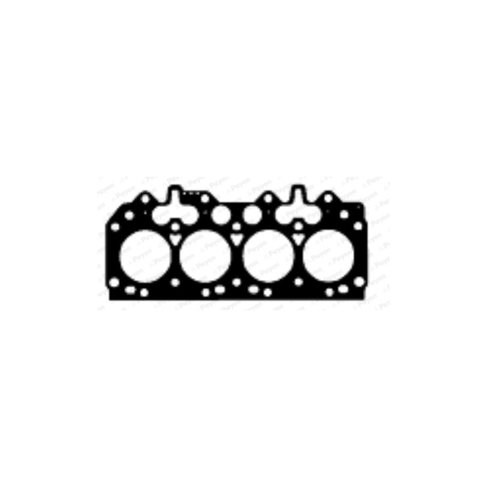 PAYEN Dichtung, Zylinderkopf BY490