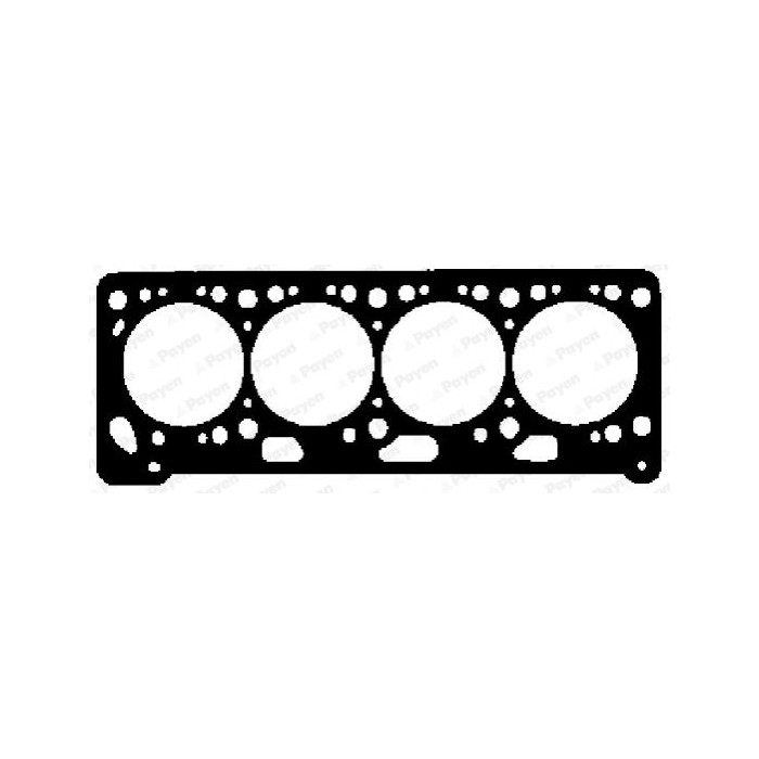 PAYEN Dichtung, Zylinderkopf BY620