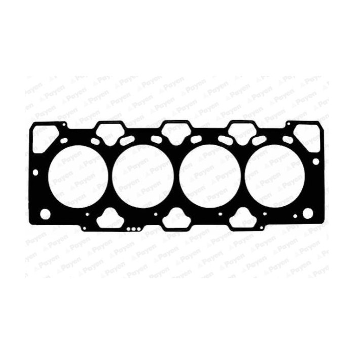 PAYEN Dichtung, Zylinderkopf BZ460