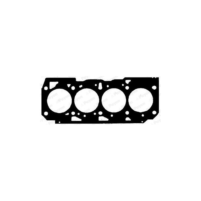 PAYEN Dichtung, Zylinderkopf BZ801
