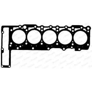 PAYEN Dichtung, Zylinderkopf BZ870